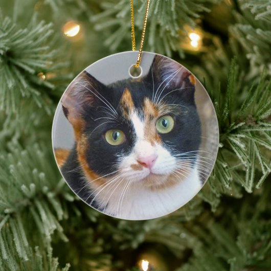 Bandit de Calico Cat Keramisch Ornament (Boom)