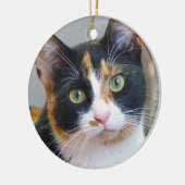 Bandit de Calico Cat Keramisch Ornament (Links)