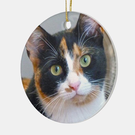 Bandit de Calico Cat Keramisch Ornament (Links)