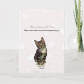 Bandit De Kaart van de gelukkige verjaardag van de (Achterkant)