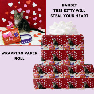 Bandit De Valentijn van de Kat Mailbox Wrapping Pa Cadeaupapier
