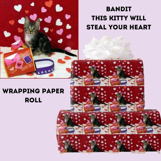Bandit De Valentijn van de Kat Mailbox Wrapping Pa Cadeaupapier