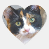 Bandit Hart Sticker (Voorkant)