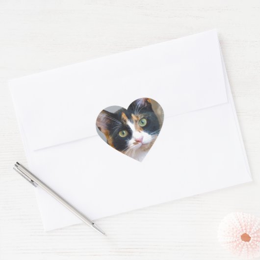 Bandit Hart Sticker (Envelop)