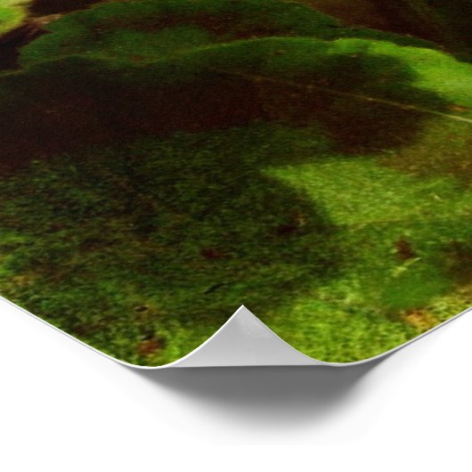 Bandit in the Flowers Poster (Hoek)