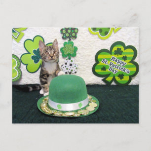 Bandit is St. Patrick's Day Cat/Kitten Briefkaart