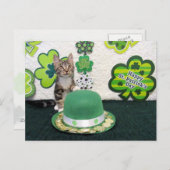 Bandit is St. Patrick's Day Cat/Kitten Briefkaart (Voorkant / Achterkant)