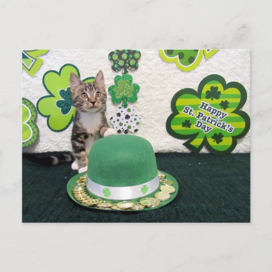 Bandit is St. Patrick's Day Cat/Kitten Briefkaart (Voorkant)