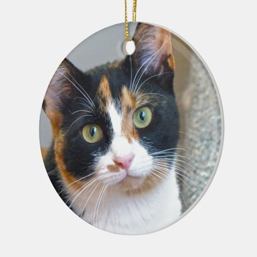 Bandit Keramisch Ornament (Links)