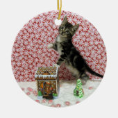 Bandit Kitten Cat Rescue Kerstmis Keramisch Ornament (Voorkant)