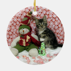Bandit Kitten Cat Rescue Kerstmis Keramisch Ornament