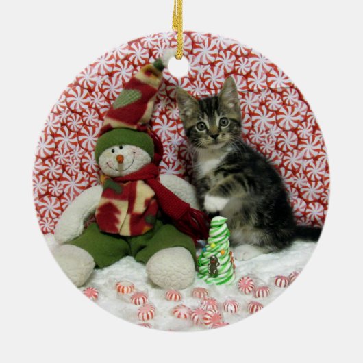 Bandit Kitten Cat Rescue Kerstmis Keramisch Ornament (Achterkant)