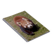 Bandit Notitieboek (Rechterzijde)