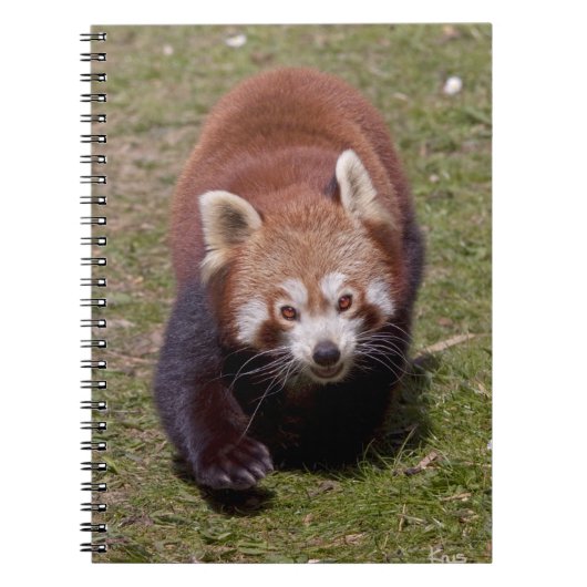 Bandit Notitieboek (Voorkant)