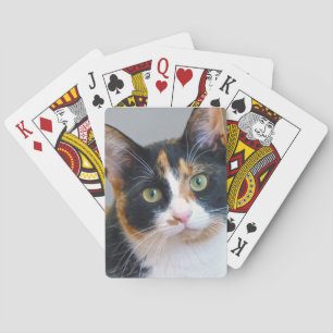 Bandit Pokerkaarten