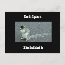 Bandit Squirrel Briefkaart