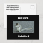 Bandit Squirrel Briefkaart (Voorkant / Achterkant)