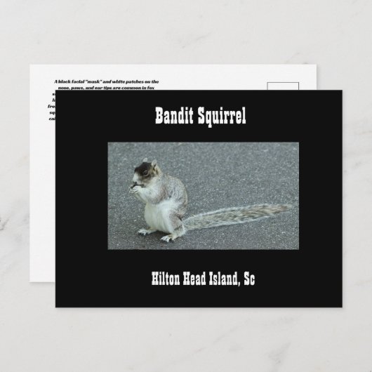 Bandit Squirrel Briefkaart (Voorkant / Achterkant)