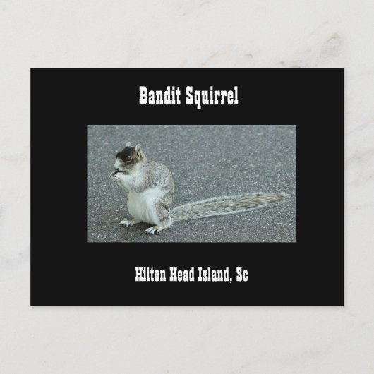 Bandit Squirrel Briefkaart (Voorkant)