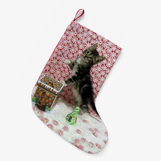 Bandit Sweet Kerstmis - Cute Cat Kleine Kerstsok (Voorkant (Hangend))
