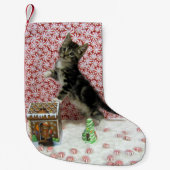 Bandit Sweet Kerstmis - Cute Cat Kleine Kerstsok (Voorkant)