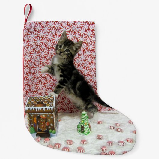 Bandit Sweet Kerstmis - Cute Cat Kleine Kerstsok (Voorkant)