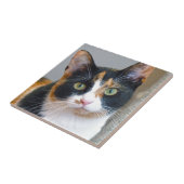 Bandit Tegeltje (Zijkant)