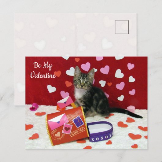 Bandit The Cat's Valentijn Mailbox Briefkaart (Voorkant / Achterkant)