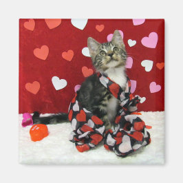 Bandit's Love - Cat / Kitten Magnet for Valentijn