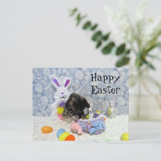 Bandit's Paasmand - Briefkaart (Staand voorkant)