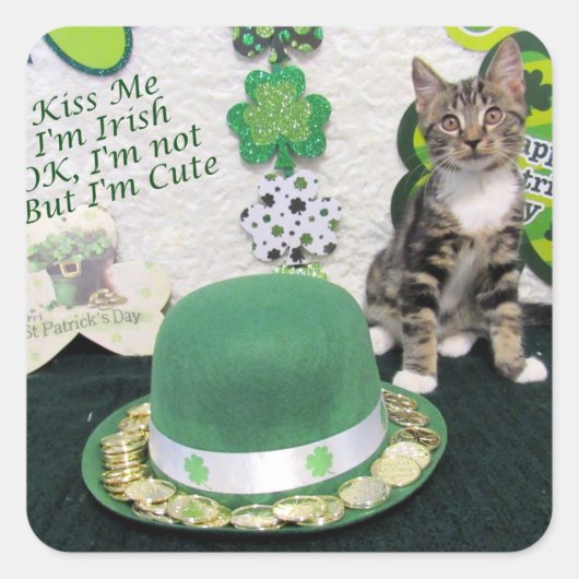 Bandit's St. Patrick's Day Stickers (3387) (Voorkant)