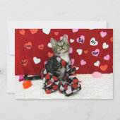 Bandit's The Cat's Valentijnsdag Flat Kaart (Voorkant)