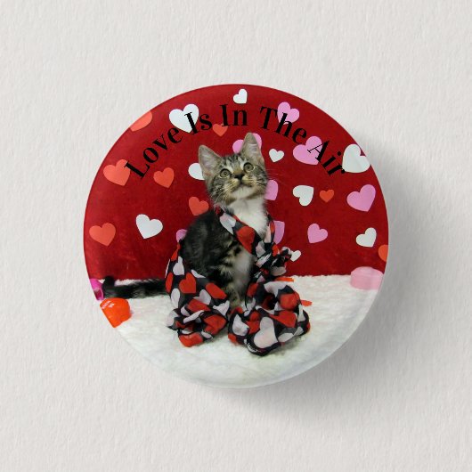 Bandit's Valentijnsdag Button - Schattigee Cat Pic (Voorkant)