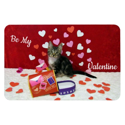 Bandit's Valentijnse Magnet (Cat/Kitten) Magneet (Horizontaal)