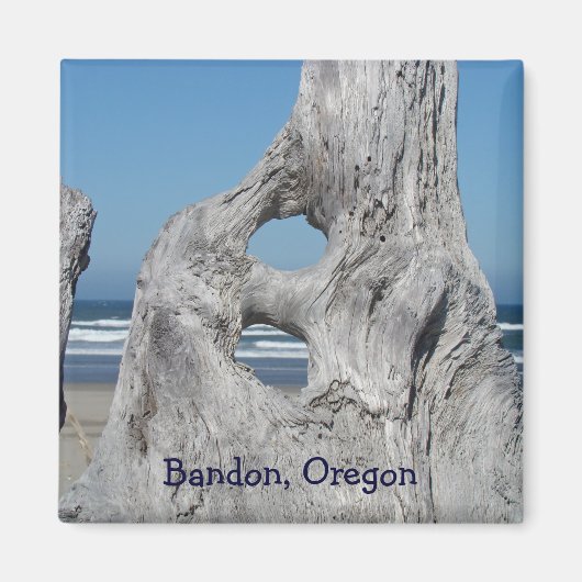 Bandon Oregon magnets giften Ocean Beach Driftwood Magneet (Voorkant)