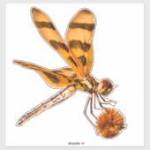 Bands wimpel Dragonfly close-up op Bur-reed Sticker (Vel)