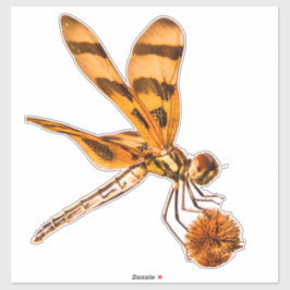 Bands wimpel Dragonfly close-up op Bur-reed Sticker