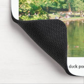 Bandstand & Duck pond, Stephens Green Dublin Muismat (Hoek)