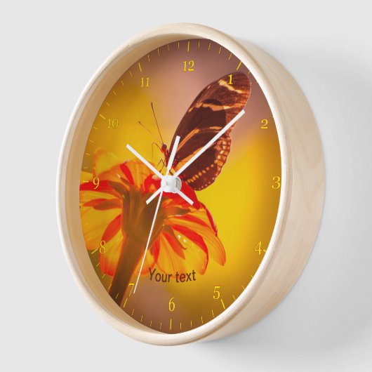 Bandvlinder op Tithonia-bloem (Hoek)