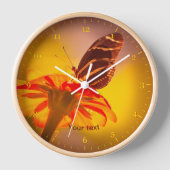 Bandvlinder op Tithonia-bloem (Voorkant)