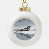 Bandzeehond Op Ijs Keramische Bal Ornament (Voorkant)