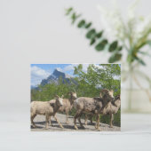 Banff Briefkaart (Staand voorkant)