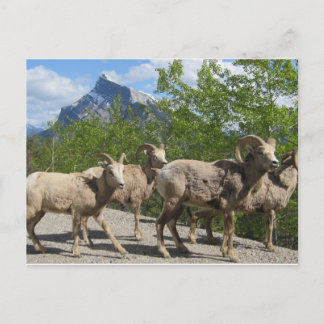 Banff Briefkaart