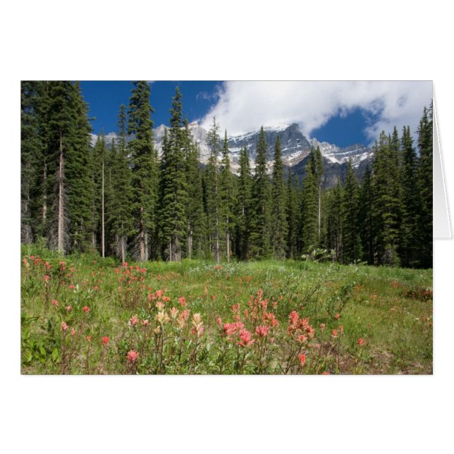 Banff Flowers Canada (Voorkant Horizontaal)