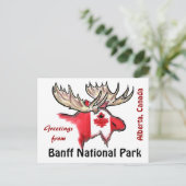 Banff National Park Alberta Canada elk briefkaart (Staand voorkant)