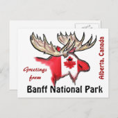 Banff National Park Alberta Canada elk briefkaart (Voorkant / Achterkant)