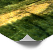  Banff Springs Hotel en Bow Valley Poster (Hoek)