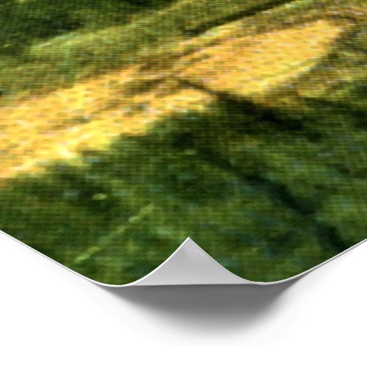  Banff Springs Hotel en Bow Valley Poster (Hoek)