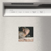 Bang aapje met grote ogen magneet (Insitu (Vaatwasser))