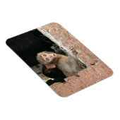 Bang aapje met grote ogen rechthoekige magneet (Rechterzijde)